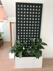 IMG 1638 E1573426157389 225x300